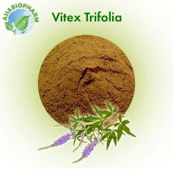 Vitex Trifolia (Powder)