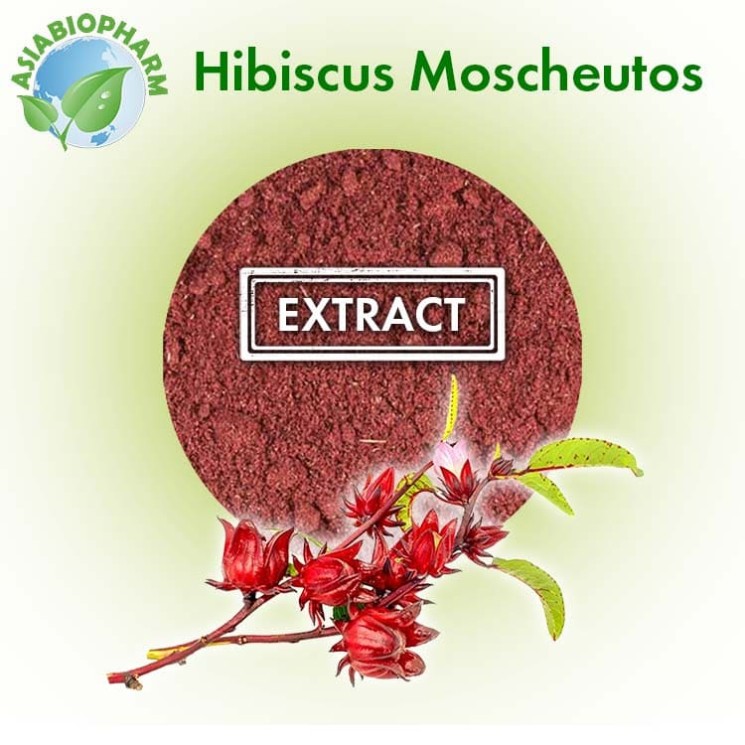 Hibiscus Extract 10:1 (Powder)
