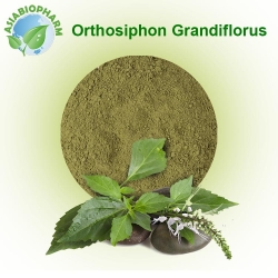 Orthosiphon (Powder)
