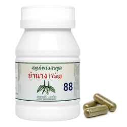 ​Бронхиальная астма тип 2 капсулы - Bronchial Asthma Type 2 Capsules (LH)