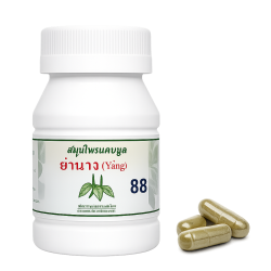 ​Бронхиальная астма тип 2 капсулы - Bronchial Asthma Type 2 Capsules (LH)