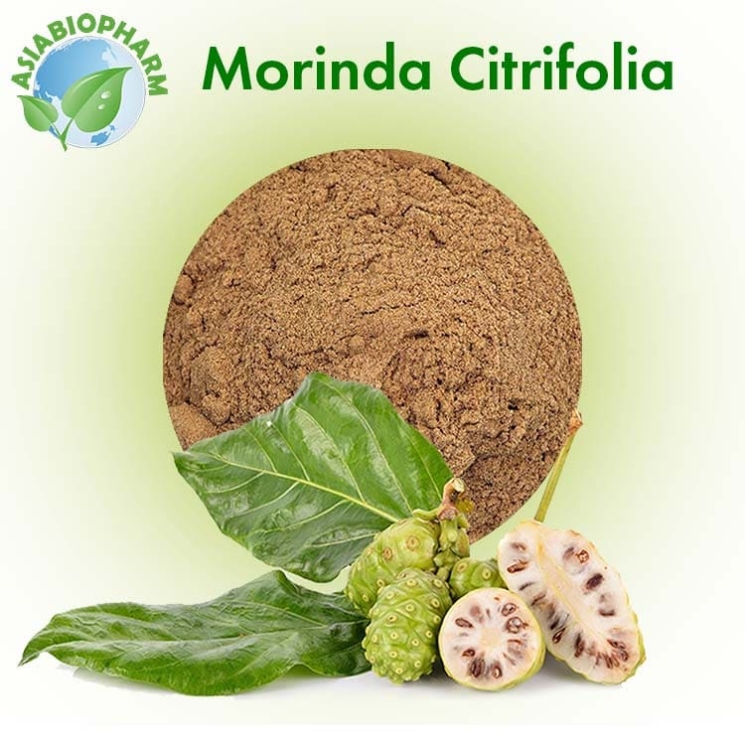 Morinda Citrifolia (Powder)