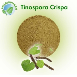 Tinospora Crispa (Powder)