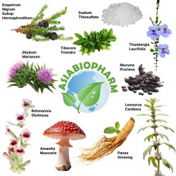 Комплекс терапии зависимости от наркотических препаратов - Addiction Detox and Recovery Therapy Complex (ABP)