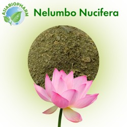 Nelumbo Nucifera (Powder)