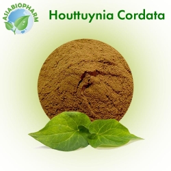 Plucao (Houtunia Cordifolia Powder)