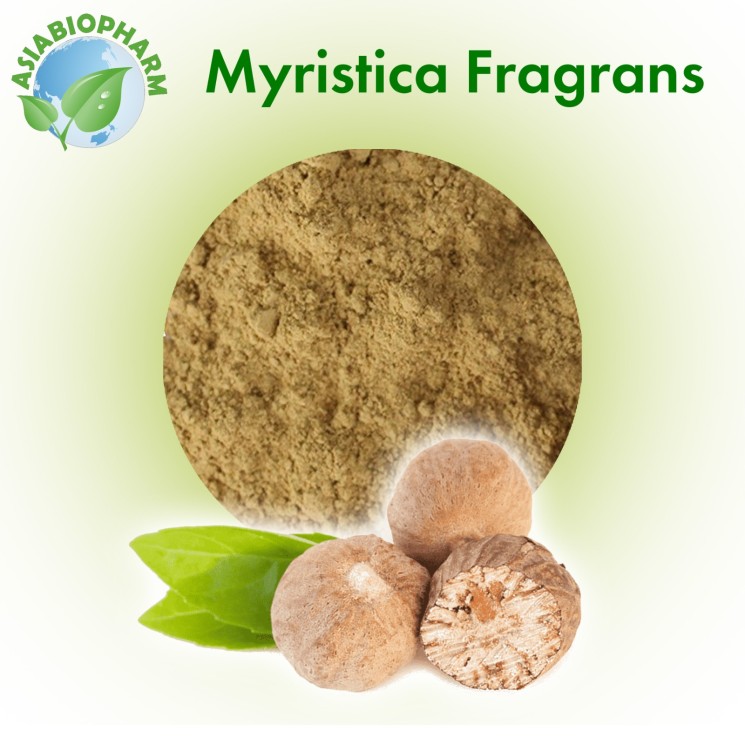 Myristica Fragrans (Powder)