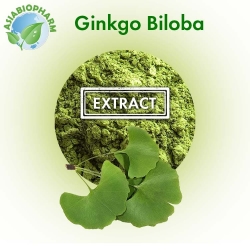 Ginkgo Biloba Extract 10:1 (Powder)
