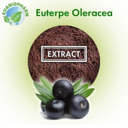 Acay berry extract 10:1 (powder)