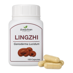 Трутовик лакированный капсулы - Lingzhi Capsules (Herbal One)