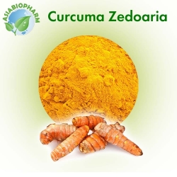 Curcuma Zedoaria (Powder)