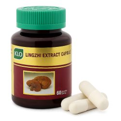 Трутовик лакированный экстракт капсулы - Lingzhi Extract Capsules (KLO) 