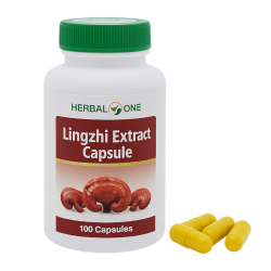 Трутовик лакированный экстракт капсулы - Lingzhi Extract Capsules (Herbal One)