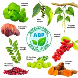 Комплекс терапии уреаплазмоза - Ureaplasma parvum