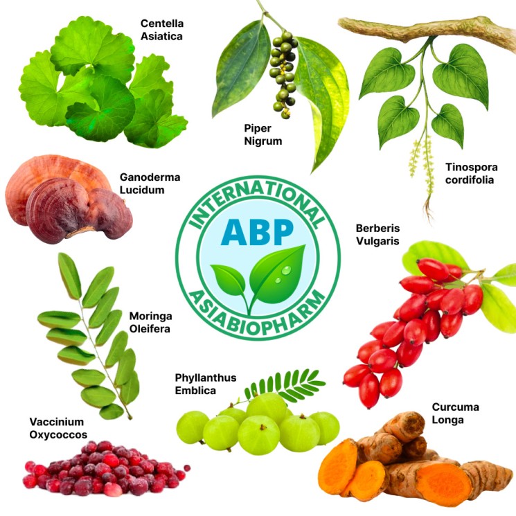 Комплекс терапии уреаплазмоза - Ureaplasma parvum