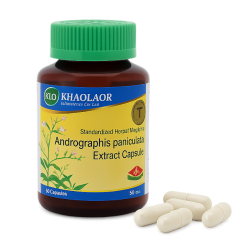 Andrographis Paniculata Extract Capsules (KLO)