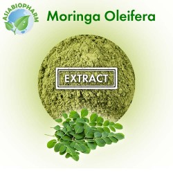 Moringa extract 10:1 (Powder)