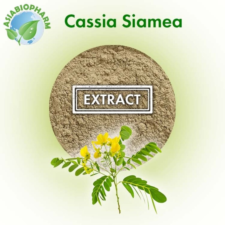 Cassia Siamae extract 50:1 (Powder)