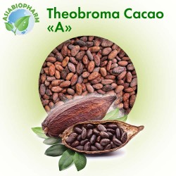 Органические какао бобы