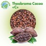 Organic cocoa beans 
