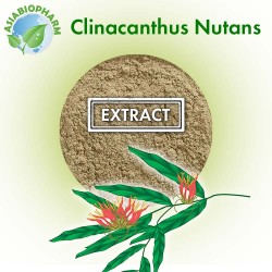Clinacantus Nutans extract 10:1 (Powder)