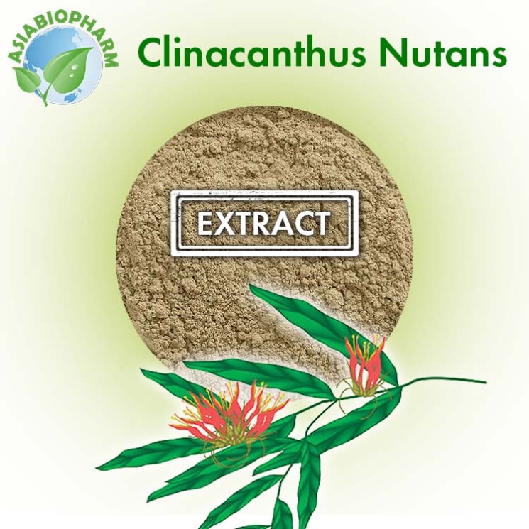 Clinacantus Nutans extract 10:1 (Powder)