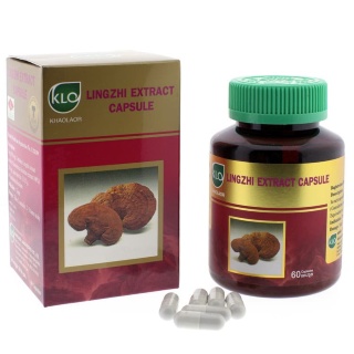 Ganoderma Lucidum Extract (KLO)