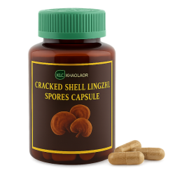 Cracked Shell Lingzhi Spores (KLO)
