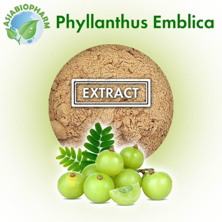 Phyllanthus Emblica extract 50:1 (Powder)