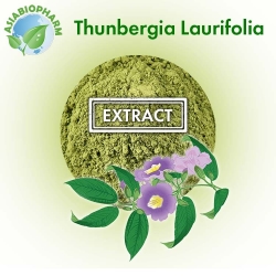 Thunbergia Laurifolia extract  10:1 (powder)