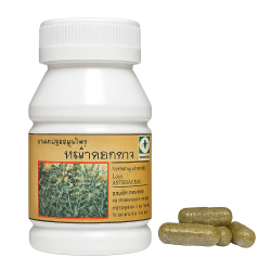 Вернония серая капсулы - Vernonia Сinerea Capsules (LH)