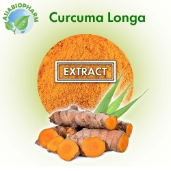Turmeric extract 98% (Powder)
