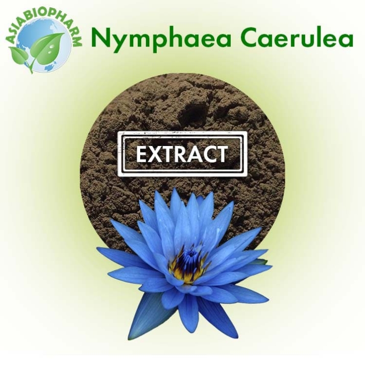 Nymphaea Caerulea Extract 50:1 (Powder)