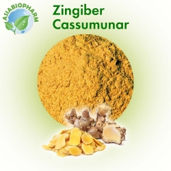 Cassumunar Ginger (Powder)