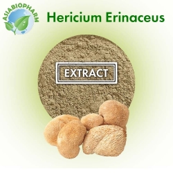 Hericium Erinaceus Extract 10:1 (Powder)