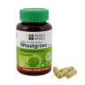 Пшеница мягкая капсулы - Wheatgrass Capsules (KLO)