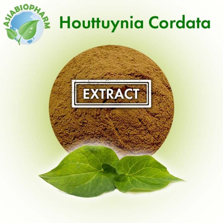 Plucao extract (Houtunia Cordifolia Powder)