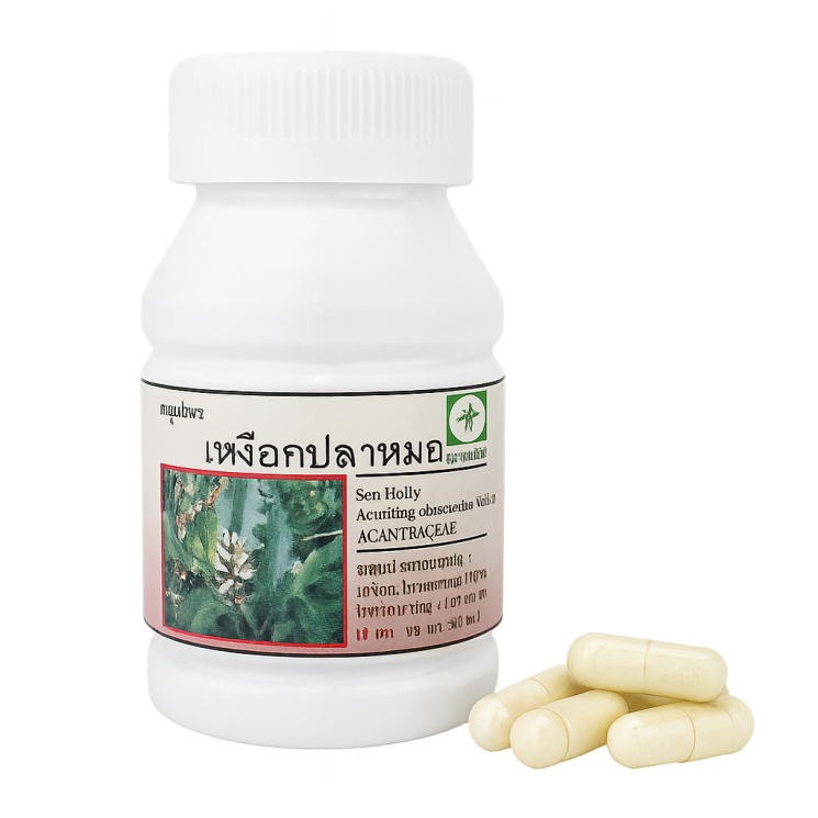 Акант безприцветниковый капсулы - Acantus Ebracteatus Capsules (LH)