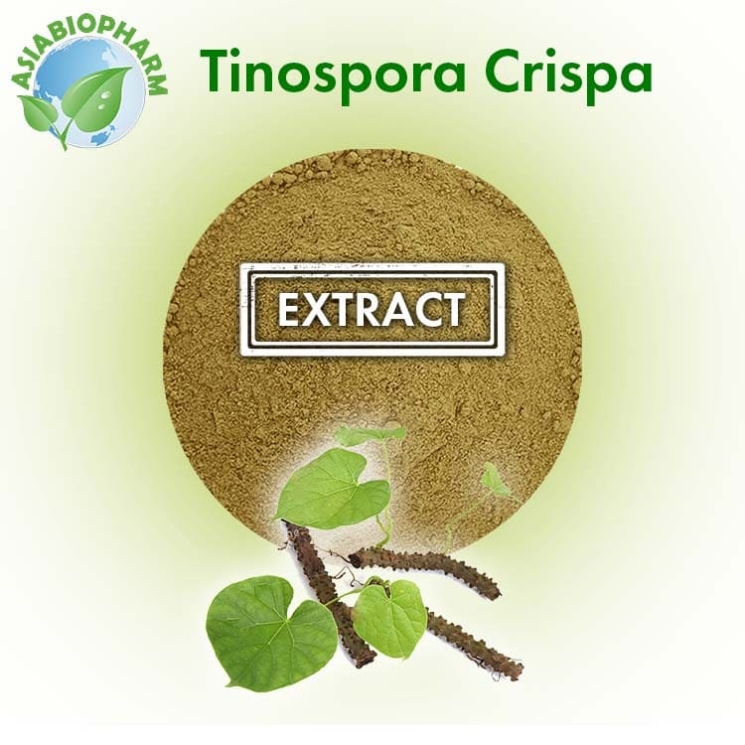 Tinospora Crispa extract 10:1 (Powder)