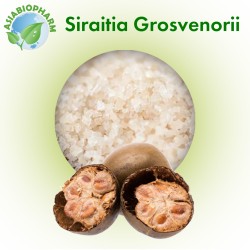 Архат сахар (экстракт плодов Siraitia Grosvenorii порошок)