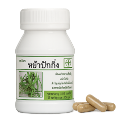 Клинакантуc поникающий растение целиком - Clinacanthus nutans whole plant (LH)