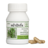 Клинакантуc поникающий растение целиком - Clinacanthus nutans whole plant (LH)