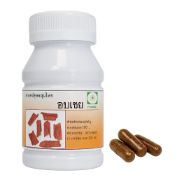Корица безолгота капсулы - Cinnamomum Bejolghota Capsules (LH)