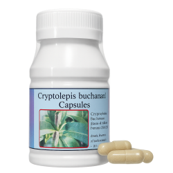 Криптолепсис Бьюкеннена капсулы – Cryptolepis buchanani Capsules (LH)