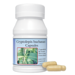 Криптолепис Бьюкеннена капсулы – Cryptolepis buchanani Capsules (LH)