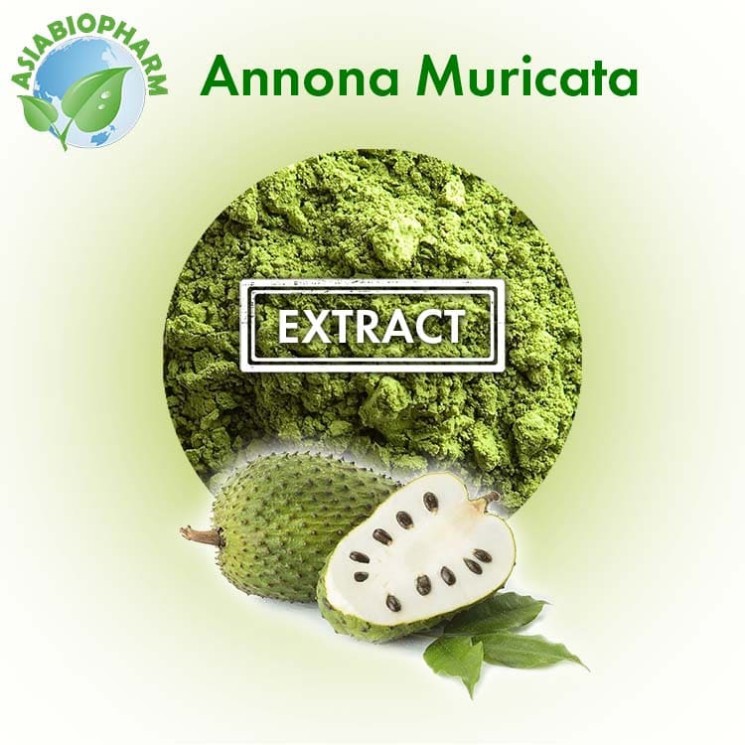 Annona Muricata Extract 10:1 (Powder)