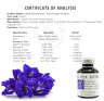 Clitoria ternatea extract