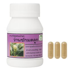 Куркума комоса капсулы - Curcuma Comosa Capsules (LH)