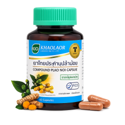Противоязвенная микстура капсулы - Plao Noi Compound Capsules (KLO)