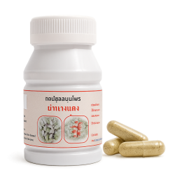 Алкоголизм и постинтоксикационный синдром капсулы – Alcoholism and Post-Intoxication Syndrome Capsules (LH)